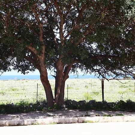 Tonnara84